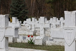 81. rocznica forsowania Odry 