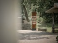 dsc